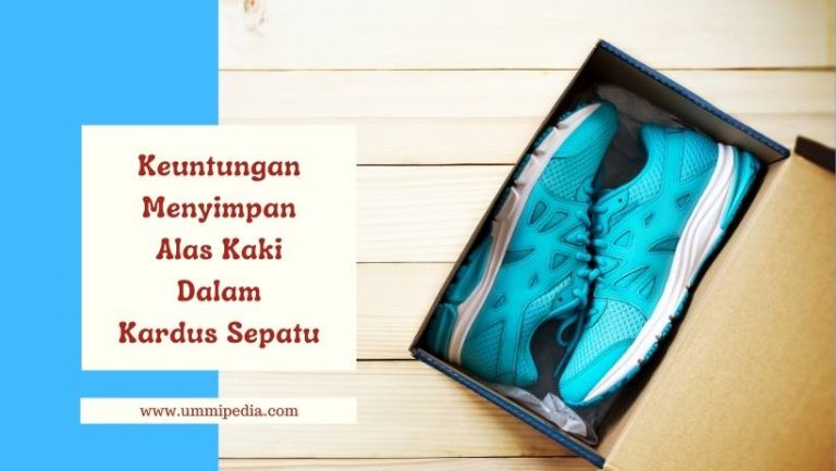 kardus sepatu