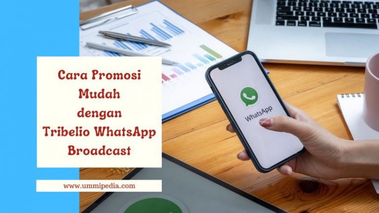 Tribelio WhatsApp Broadcast