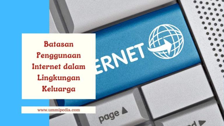 Penggunaan internet