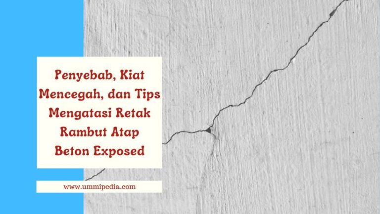 Retak rambut