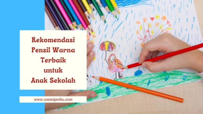 rekomendasi pensil warna