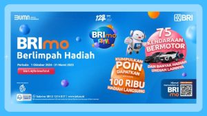 BRImo