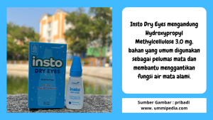 Insto Dry eyes